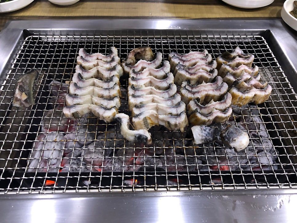 미락장어 사진 1