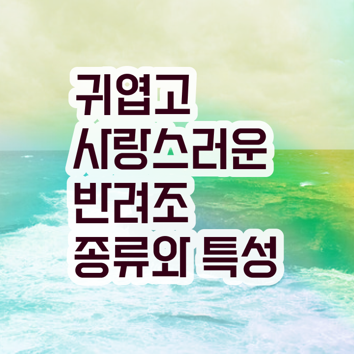  사랑앵무 윙컷 , 반려조관리사 자격증 취득했던 후기 최단기간 취득한 과정