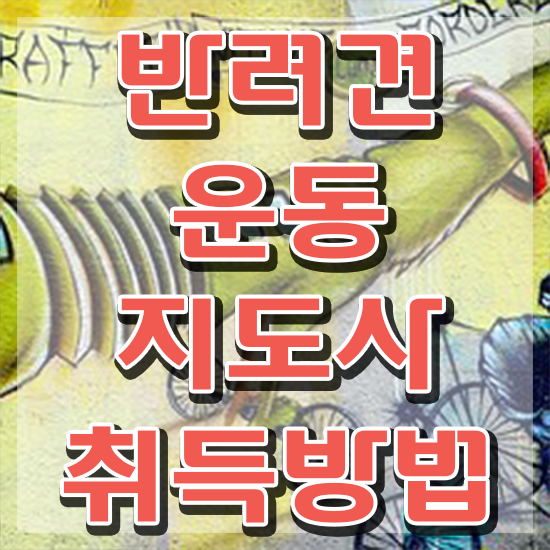  20대 자격증 추천 , 반려견운동지도사 인강만 듣고 독학으로 경력없는 사람도 초단기 끝냈던 후기