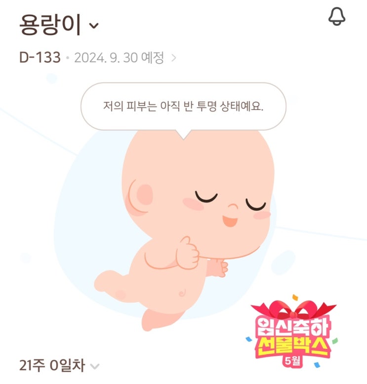 임신 21주차 | 스토케 노미 직구 도착, 하기스 허그박스, 일산차병원 정밀초음파, 당근지옥 임신 21주차 | 스토케 노미 직구 도착, 하기스 허그박스, 일산차병원 정밀초음파, 당근지옥
