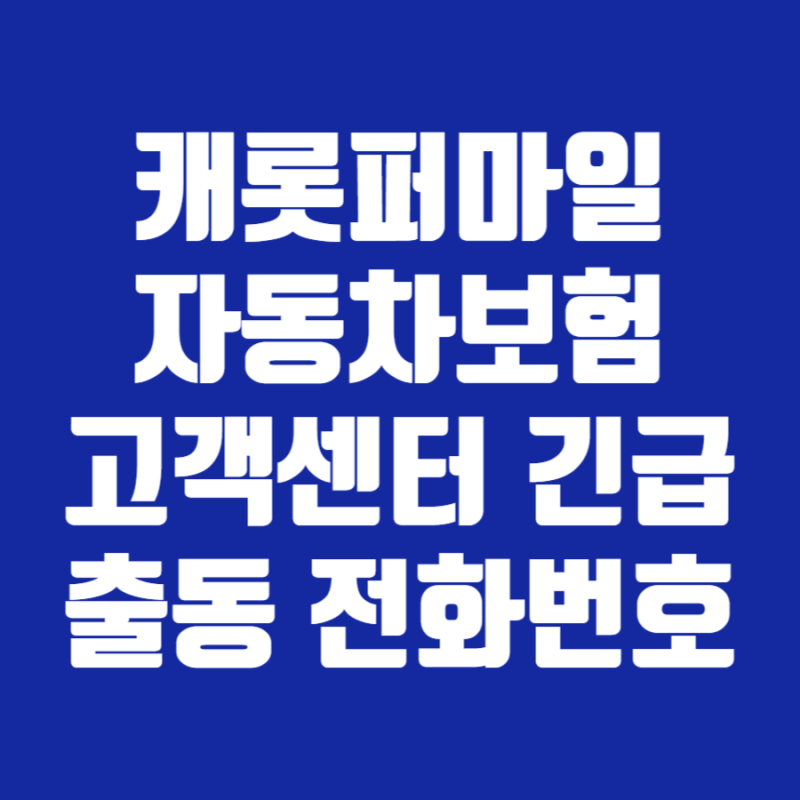 캐롯퍼마일자동차보험 고객센터 전화번호 긴급출동 모델 후기 해지 갱신 케롯자동차보험 캐....