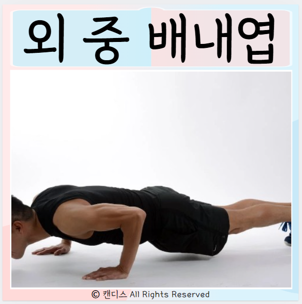  외배엽 내배엽 중배엽 식단과 운동