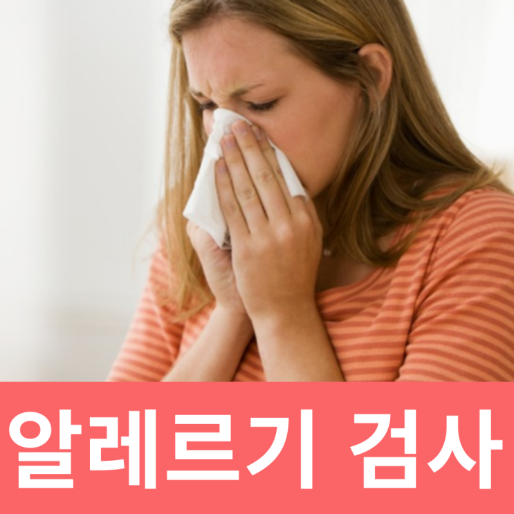  MAST 알레르기 검사 비용 결과 실비 항목