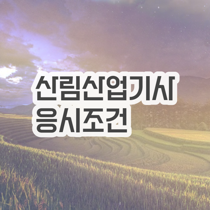  산림산업기사 연봉 산림산업기사 취득자격 인강만 듣고 쉽고 빠르게 끝낸 팁