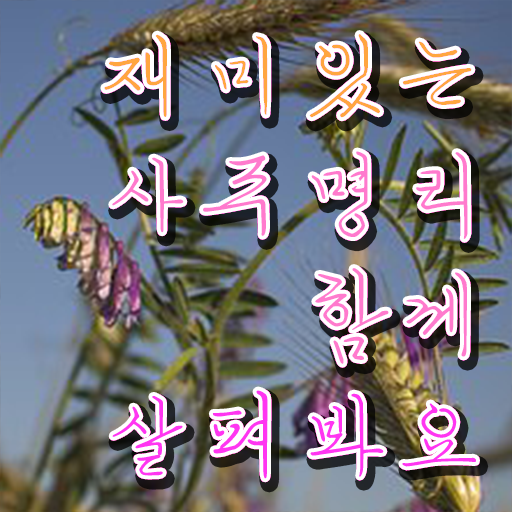  심리상담사자격증취업 , 심리상담사 자격증 간단하게 취득했던 후기 및 무료수강 혜택