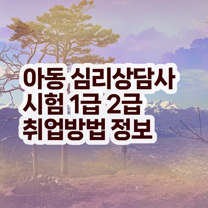  노인심리상담사 자격증 취득방법 , 심리상담사 자격증 합격정보 정보 퍼펙트 요약
