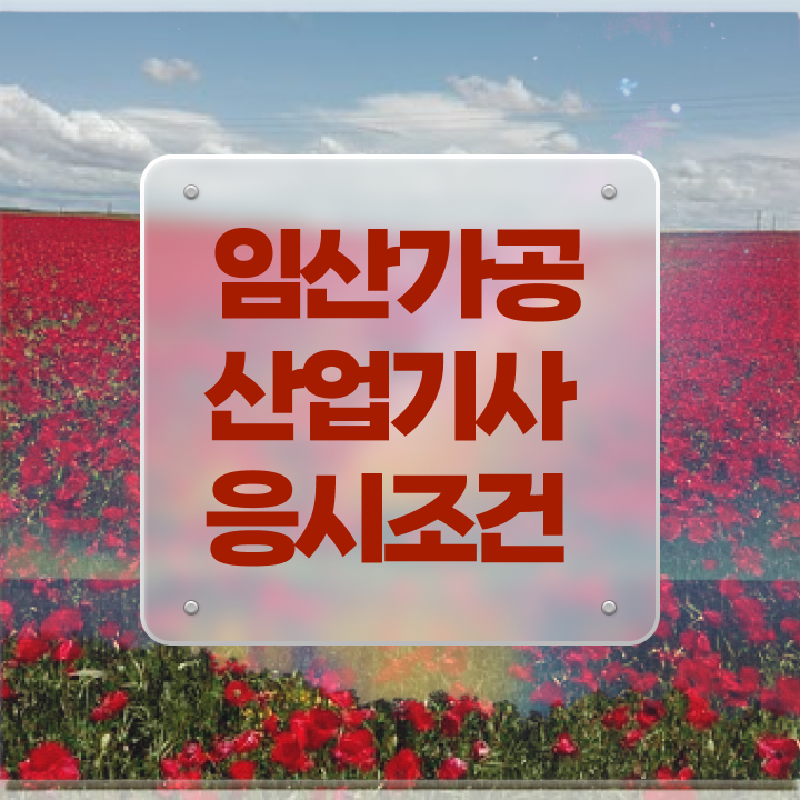  임산가공산업기사 취득자격 학점은행제로 빠르게 성공한 노하우