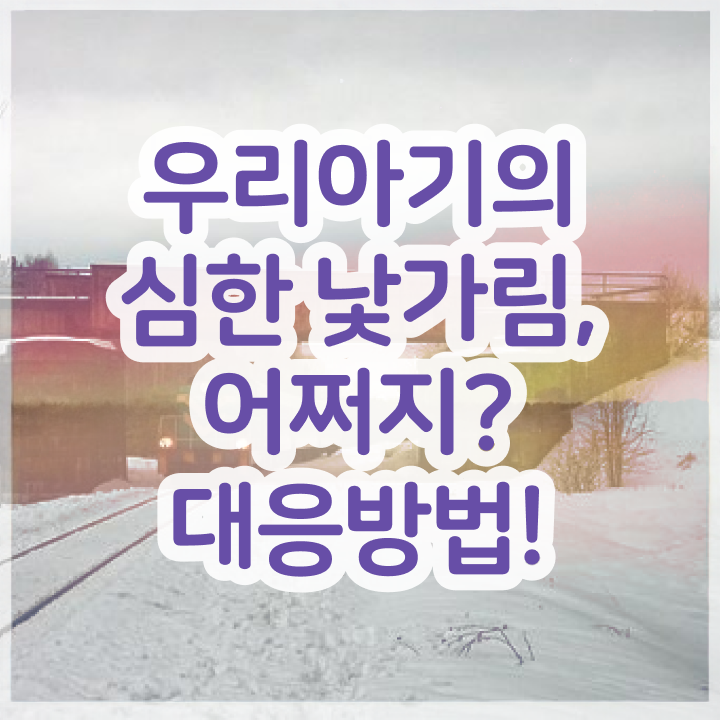  아동소통지도사 독학 , 아동소통지도사 자격증 독학으로 합격한 비법 및 취업정보