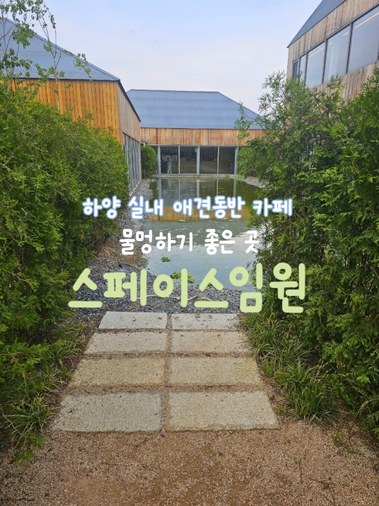  하양애견동반 카페 스페이스임원 솔직후기