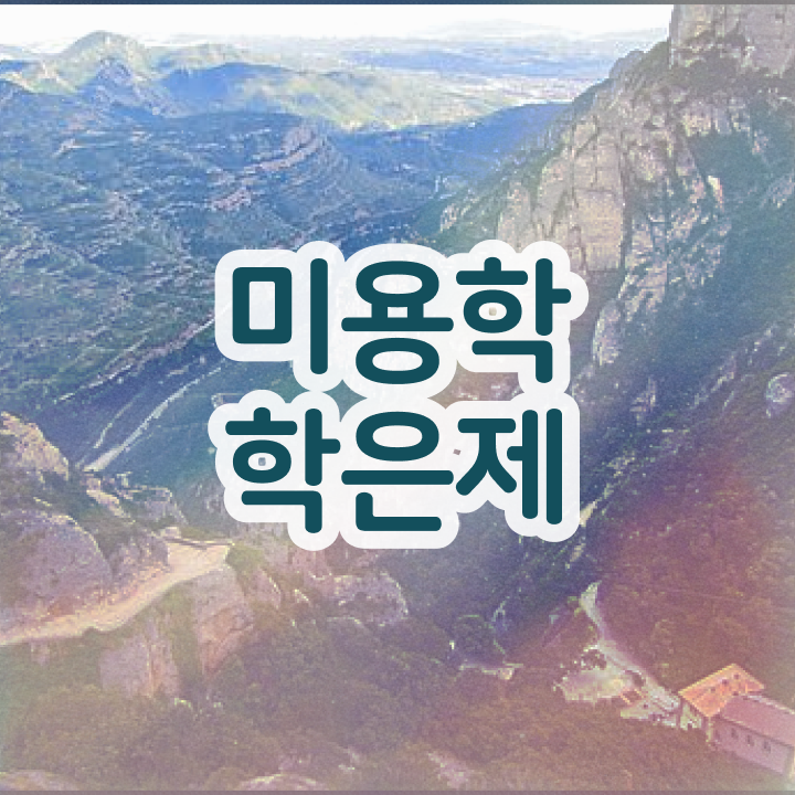  피부미용사 월급 , 시험없이 온라인과정으로 종합미용자격증 끝낼 수 있어요
