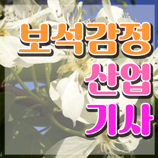  보석감정산업기사 자격요건 인강으로 1학기에 완료한 전략