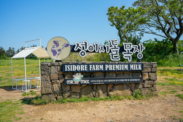  제주도 서쪽 가볼만한곳 내가 뽑은 여행리스트