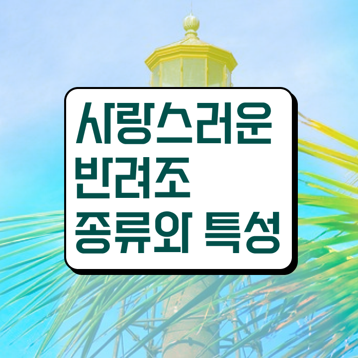  코뉴어 앵무새 종류 , 반려조관리사 자격증 2주 만에 준비한 과정 궁금하셨다면