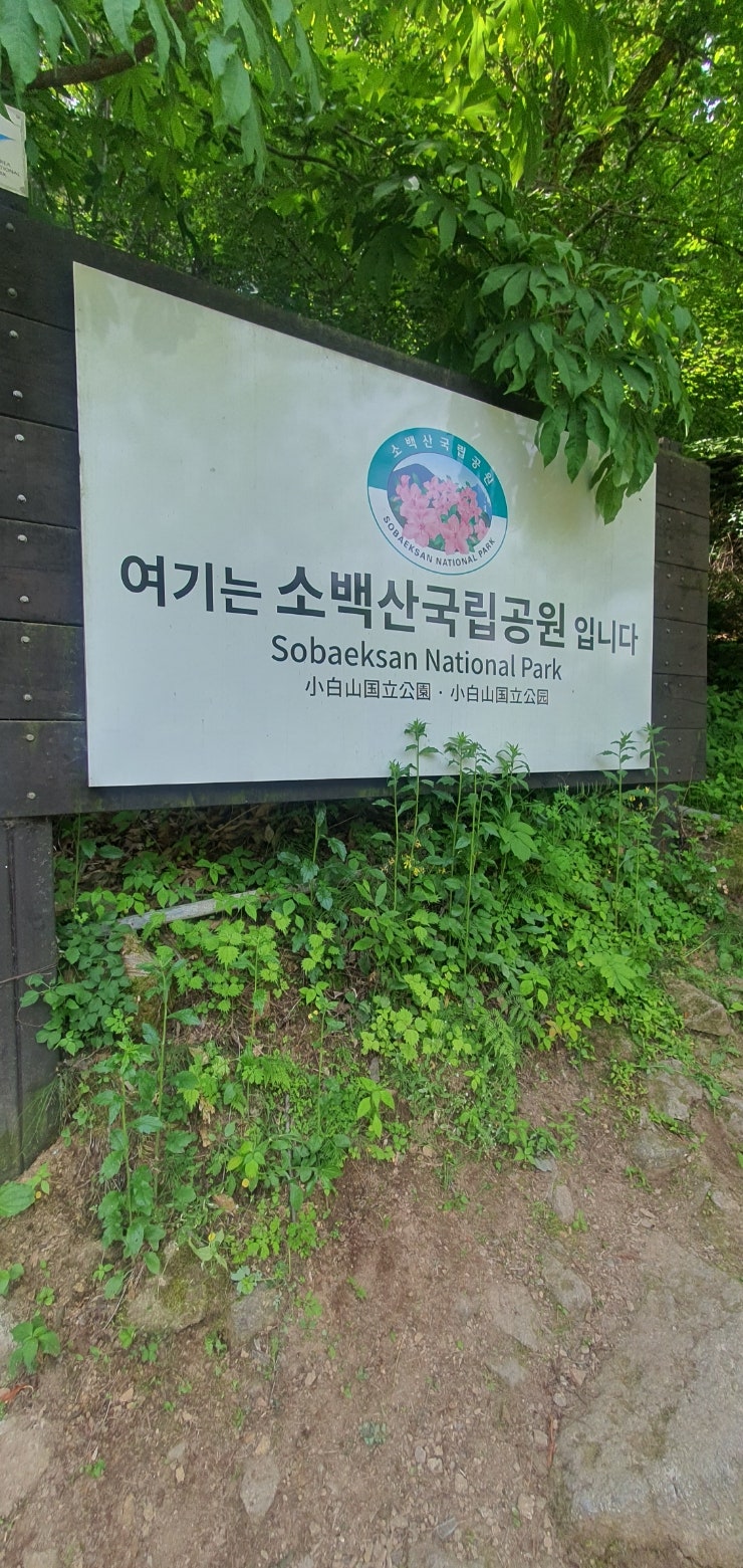  (2024년 5월) 소백산 국립공원, 철쭉산행