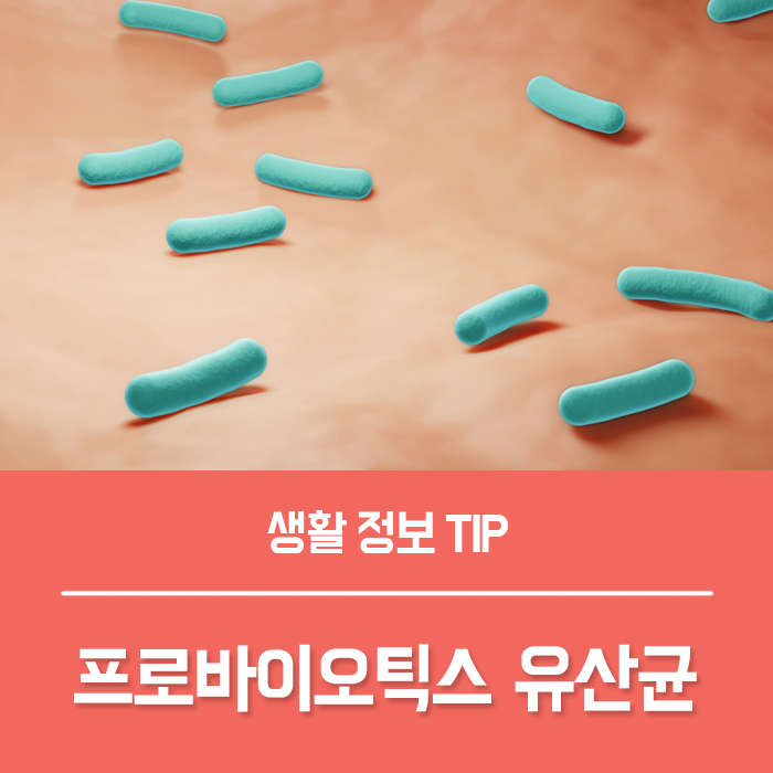  프로바이오틱스 유산균 먹는시간, 유산균 섭취시간 종류는?