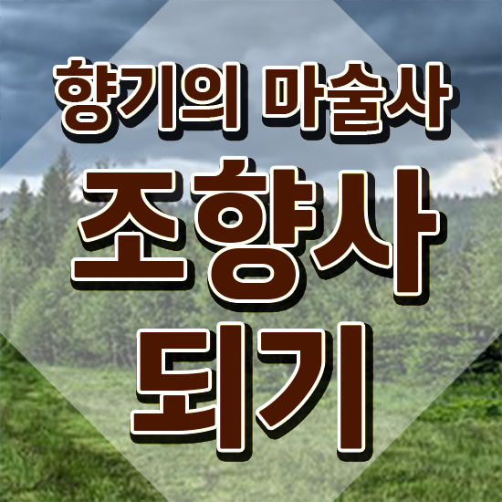  40대취업자격증 , 조향사 집에서 온라인으로 성공한 팁
