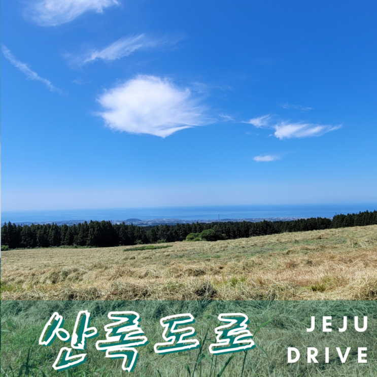  제주 드라이브 코스 산록도로 - 한라산 산록을 가로지르다
