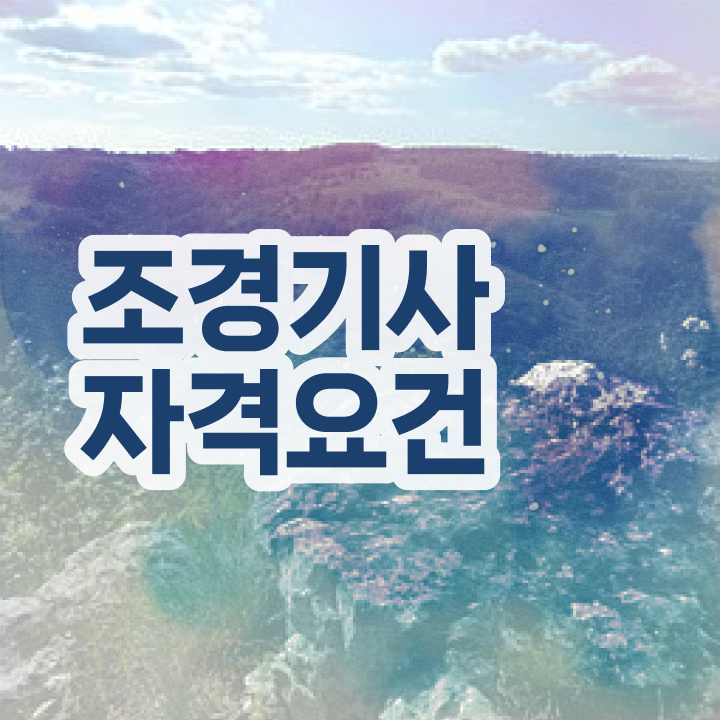  조경기사 필기 과목 조경기사 시험자격 학점은행제로 5달만에 성공한 노하우