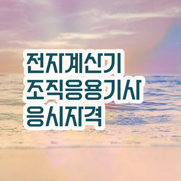  전자계산기조직응용기사 2024 필기 후기 전자계산기조직응용기사 응시자격 인강으로 반 년만에 성공한 비법
