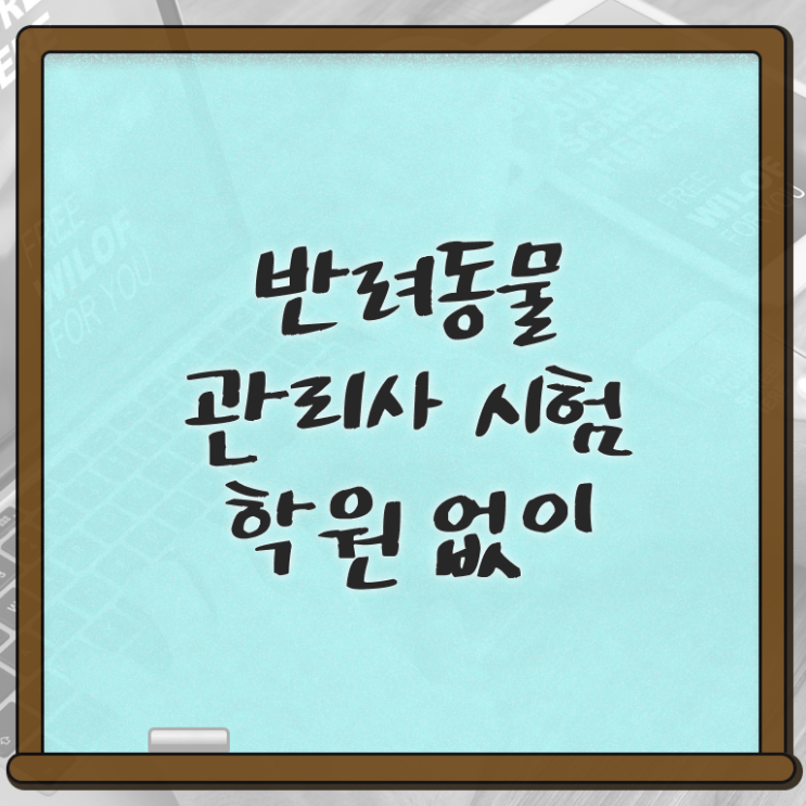 한국반려동물 , 반려동물관리사 자격증 15일 만에 취득했던 후기 및 온라인 무료강의