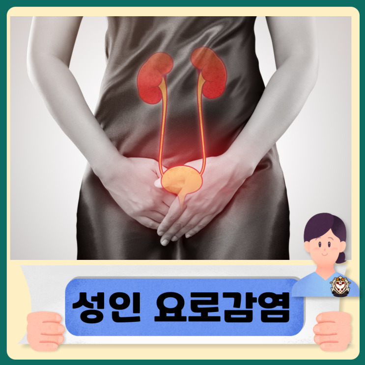  성인 요로감염 증상 원인과 종류 및 치료방법