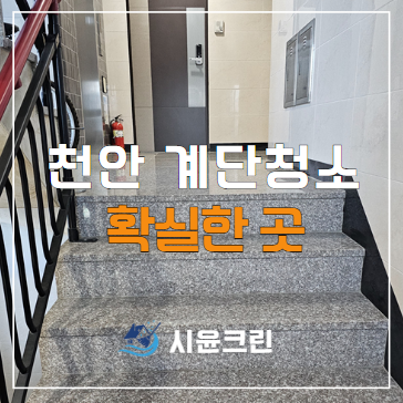  천안 계단청소로 건물주의 마음을 사로잡다!