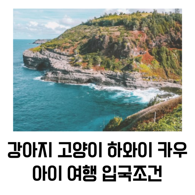  강아지 고양이 하와이 카우아이 여행 입국조건