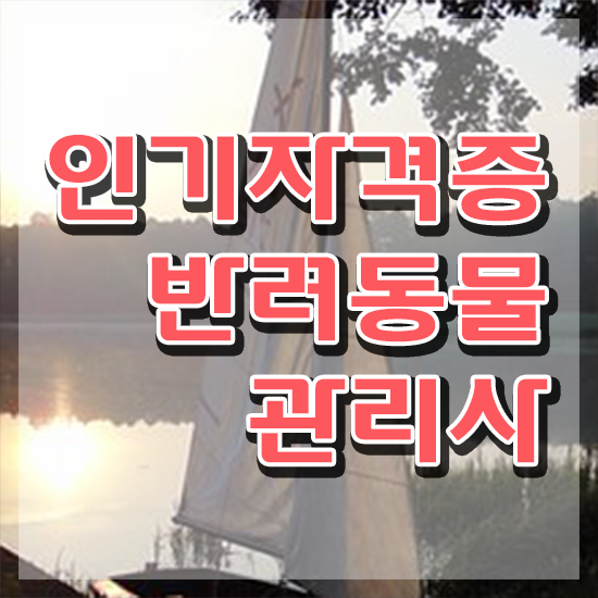  시민 반려동물장례식장 , 반려동물관리사 자격증 온라인으로 쉽게 합격한 후기 및 온라인 무료강의