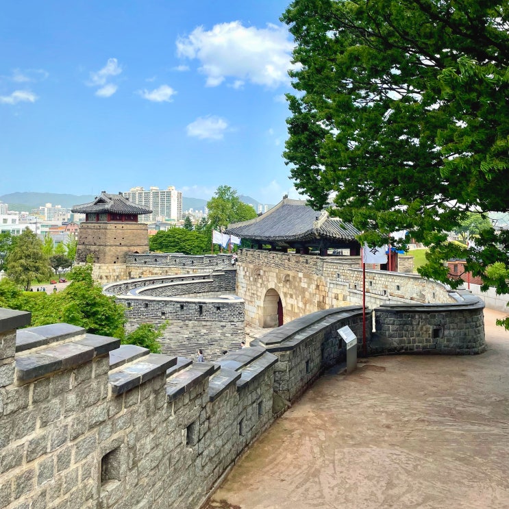  #240527 수원화성 - 팔달산, 팔달공원, 서장대 등