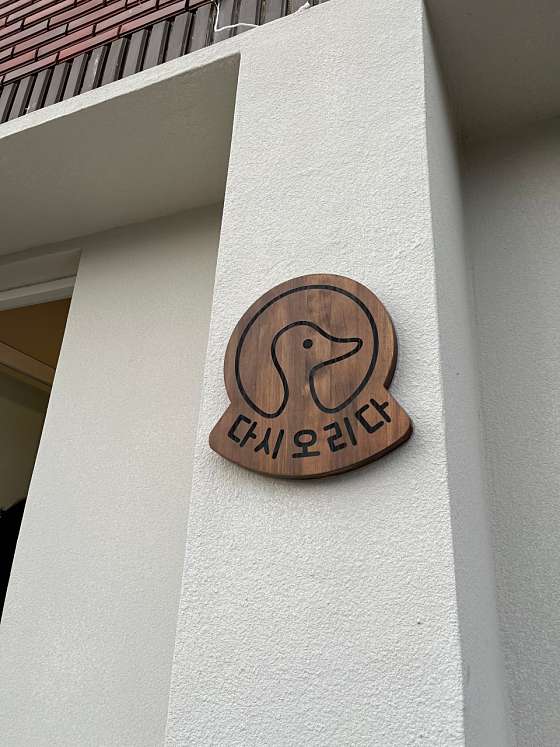 다시오리다 사진 5