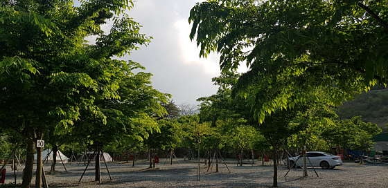 솔바람캠핑장 사진 4