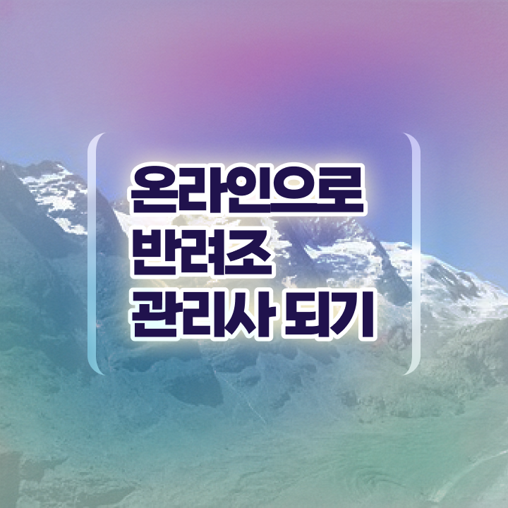  말하는 앵무새 분양 , 반려조관리사 자격증 준비한 과정 살펴보기