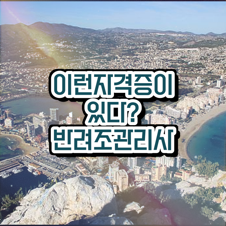  왕관앵무새 수명 , 반려조관리사 자격증 비용없이 온라인으로 시험준비 및 무료수강 혜택