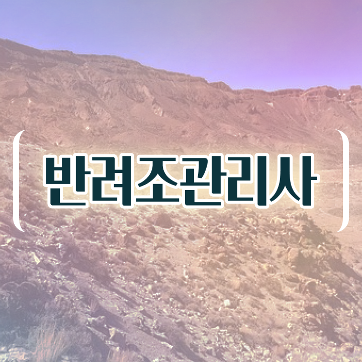  애완 앵무새 종류 , 반려조관리사 자격증 준비한 방법 준비했어요