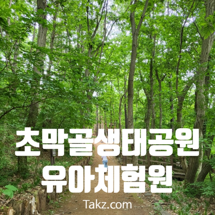  아이와 가기 좋은 초막골 생태공원 주차 팁과 유아숲 체험원 후기