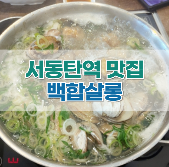 서동탄역 맛집 '백합살롱' 내돈내산 후기