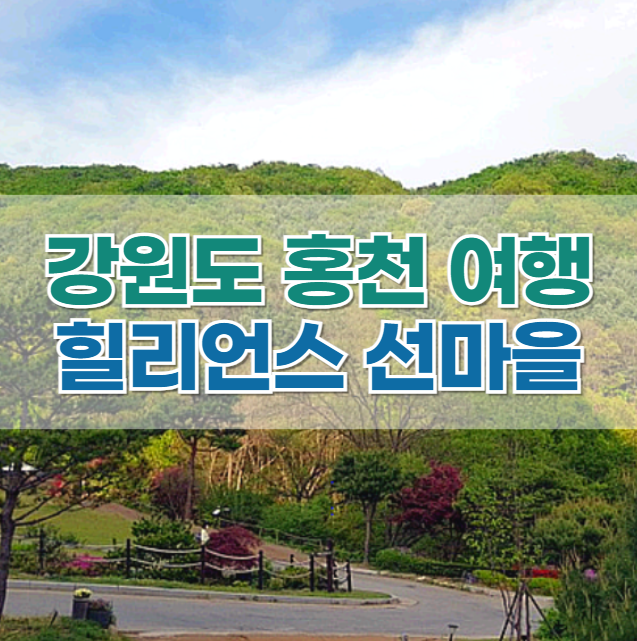  '힐리언스 선마을' 방문 후기! 강원도 홍천 여행