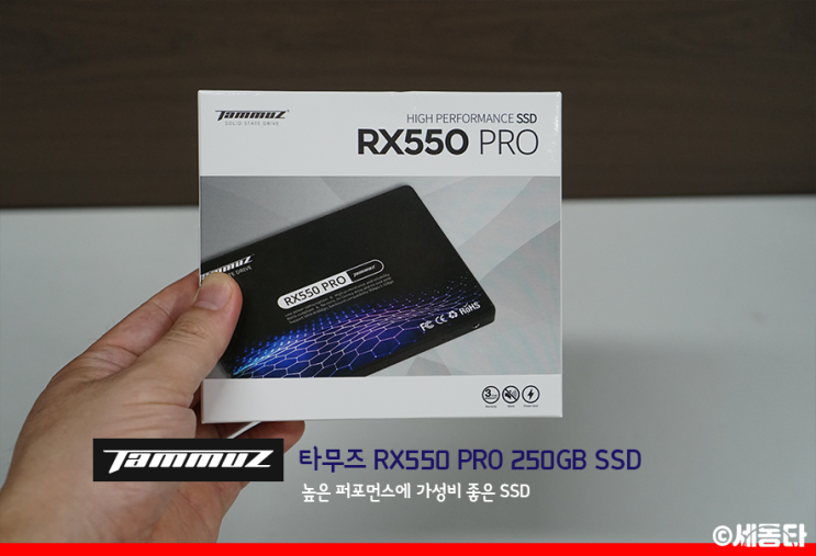  타무즈 RX550 PRO 250GB SSD - 높은 퍼포먼스에 가성비 좋은 SSD