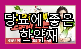 한약재를 활용한 당뇨 관리 방법