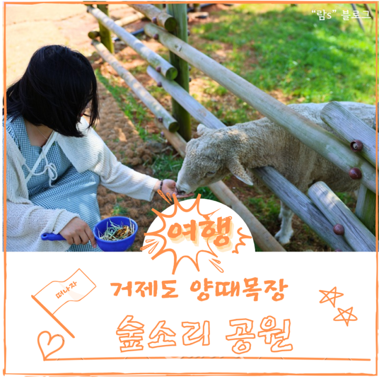  거제도 숲소리공원 양떼목장 모노레일 먹이주기 체험 가격 입장료