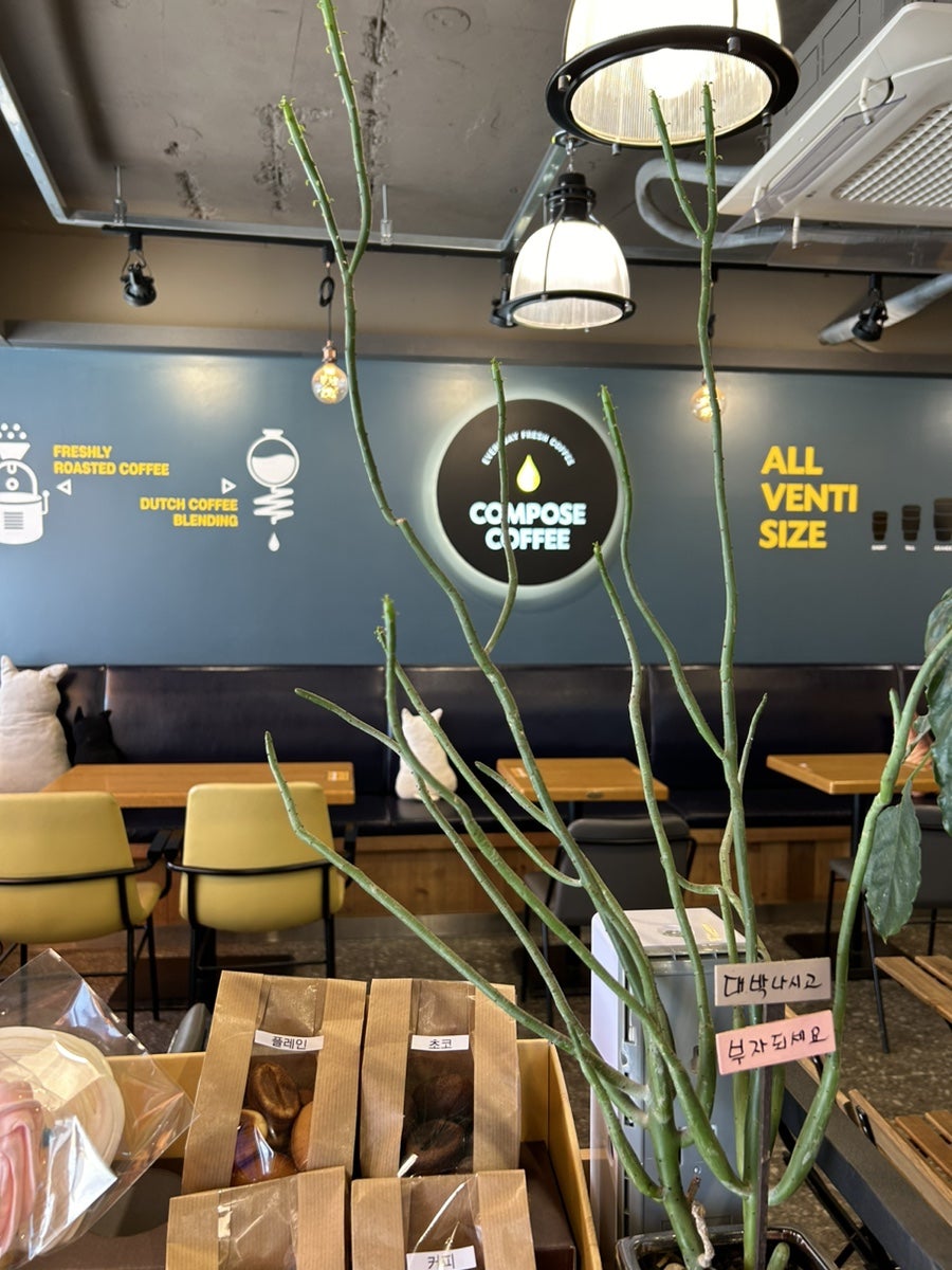 컴포즈커피 내발산점 사진 4