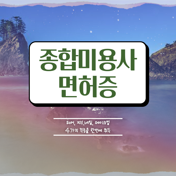  젤네일 디자인 , 네일아트 국가자격증 창업 자격증 취득 전략 및 검토해야 할 것 요약했어요