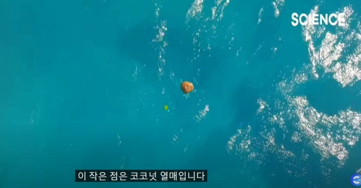  우연이 만들어낸 위대한 결과물