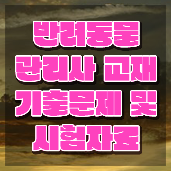  강아지훈련사자격증 , 반려동물관리사 자격증 온라인으로 간단히 합격한 후기 , 구직정보