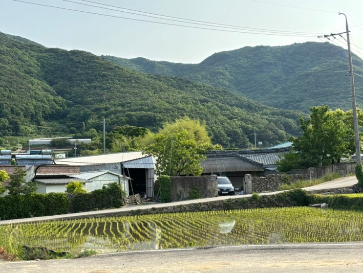  기억에 남을 만한 2박 3일 남해 워크샵
