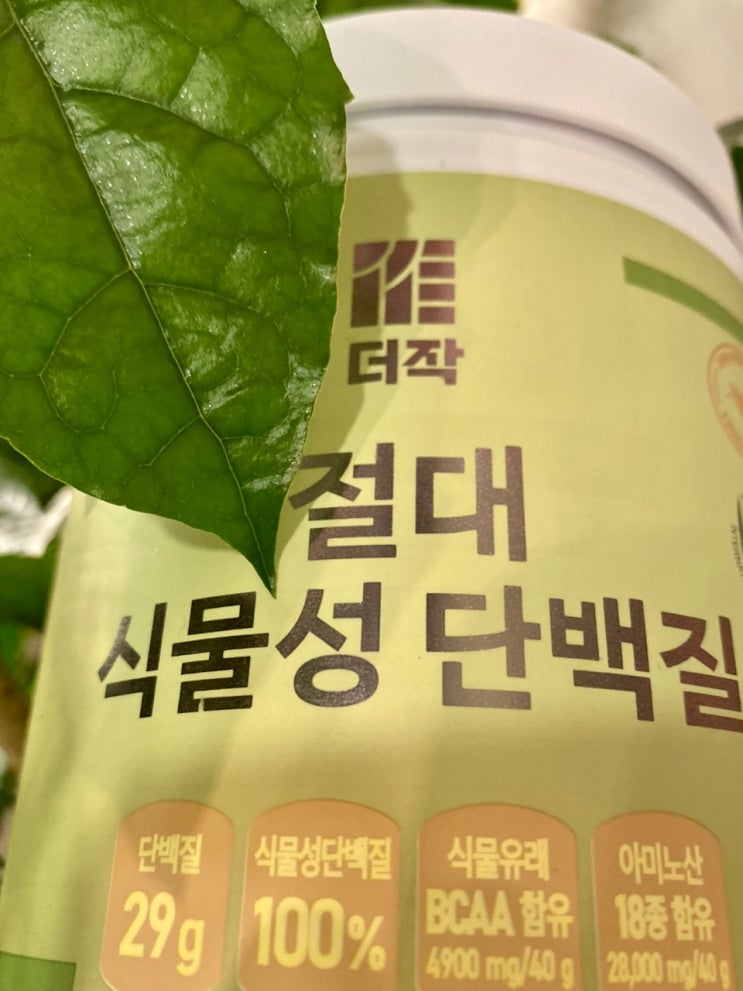  식물성 단백질 쉐이크 매일 아침 1개월 섭취 경과
