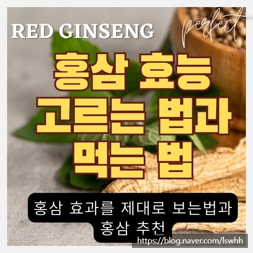  지금껏 몰랐던 홍삼의 모든 것 - 효능, 먹는법, 발효홍삼, 홍삼 추천