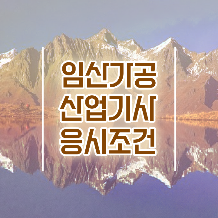  임산가공산업기사 필기 준비 임산가공산업기사 시험응시조건 온라인으로 반 년만에 끝낸 노하우