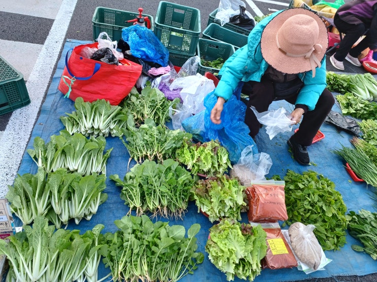  겸손한 마음으로 사주팔자를 바라보며...