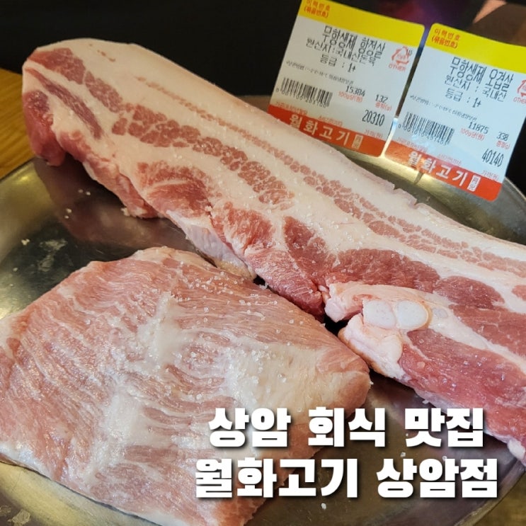  상암 회식 맛집 고기 품질로 승부 보는 월화고기 상암점
